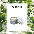 ASUREI Travel Tin Scented Candle Series | British Pear and Freesia (10 Scents)