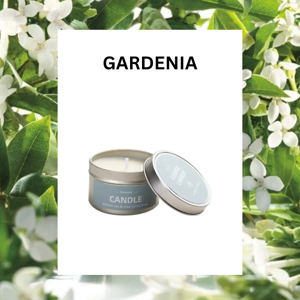 ASUREI Travel Tin Scented Candle Series | Free Water (10 Scents)