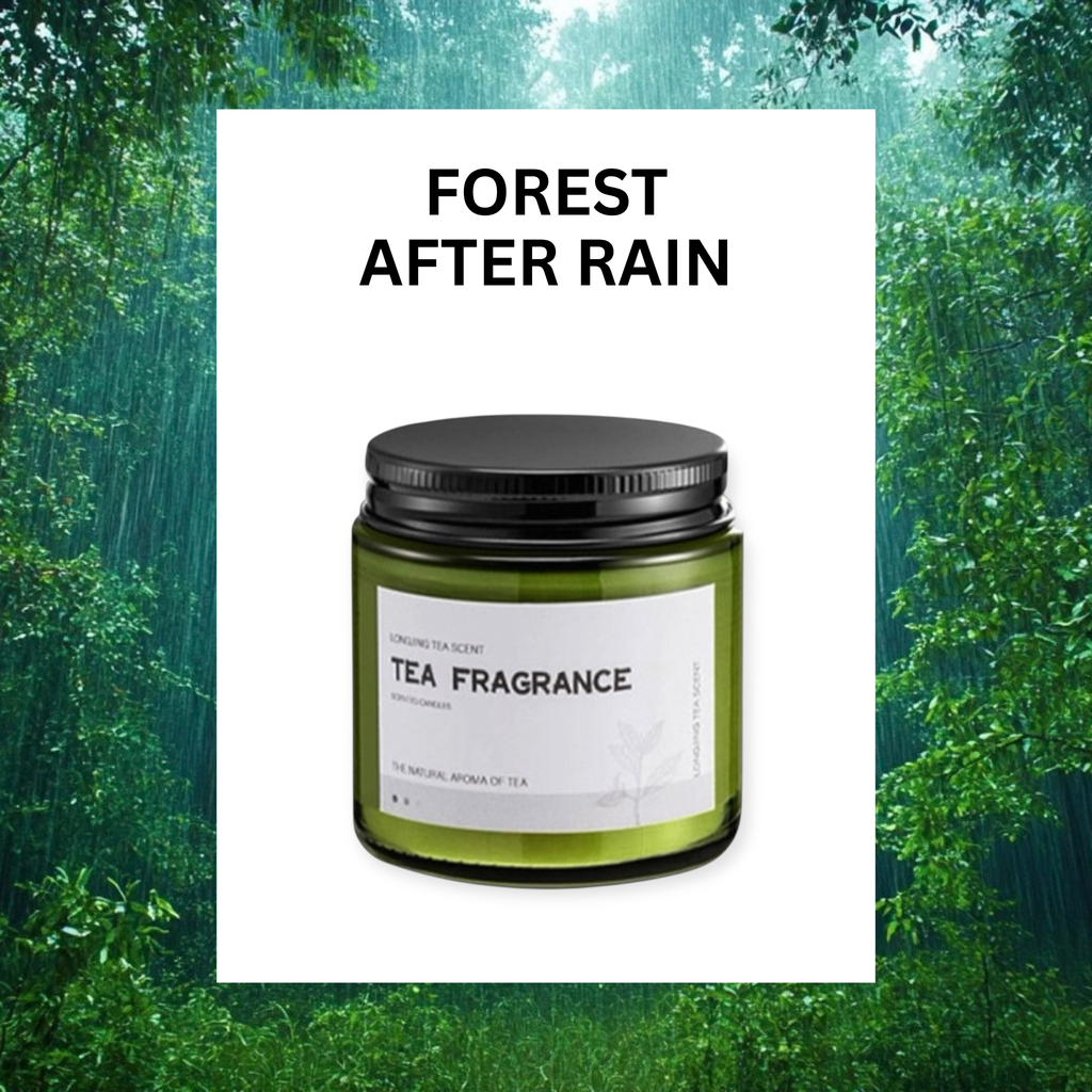 ASUREI Nature Series - Scented Soy Candle | Forest After Rain (10 Scents)