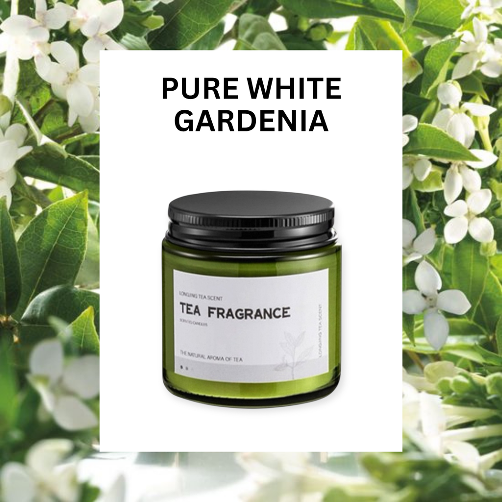 ASUREI Nature Series - Scented Soy Candle | Forest After Rain (10 Scents)