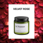 ASUREI Nature Series - Scented Soy Candle | Forest After Rain (10 Scents)