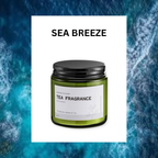 ASUREI Nature Series - Scented Soy Candle | Forest After Rain (10 Scents)