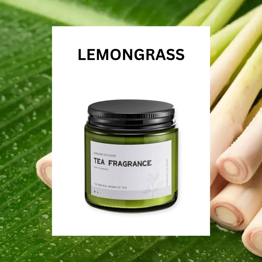 ASUREI Nature Series - Scented Soy Candle | Forest After Rain (10 Scents)