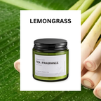 ASUREI Nature Series - Scented Soy Candle | Forest After Rain (10 Scents)