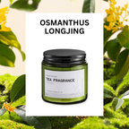 ASUREI Nature Series - Scented Soy Candle | Forest After Rain (10 Scents)