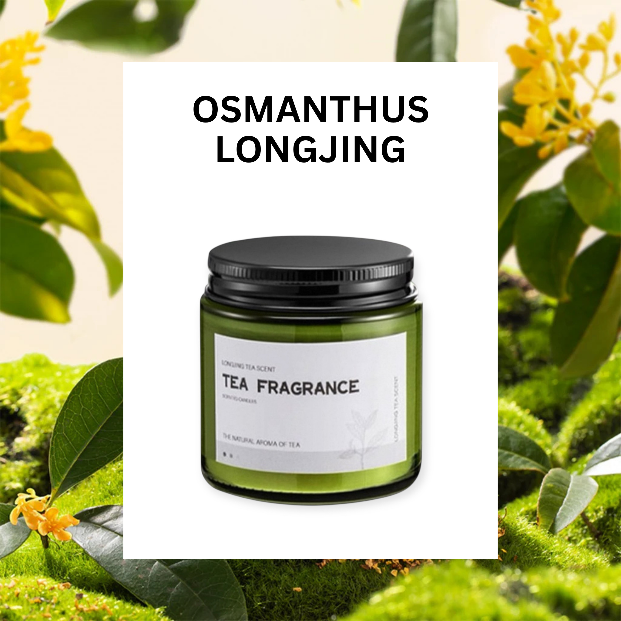 ASUREI Nature Series - Scented Soy Candle | Lychee White Tea (10 Scents)