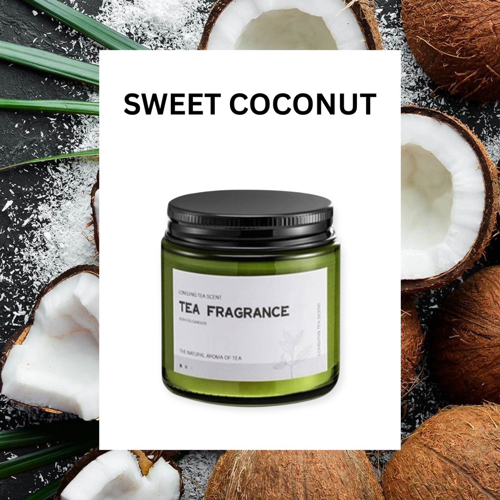 ASUREI Nature Series - Scented Soy Candle | Forest After Rain (10 Scents)